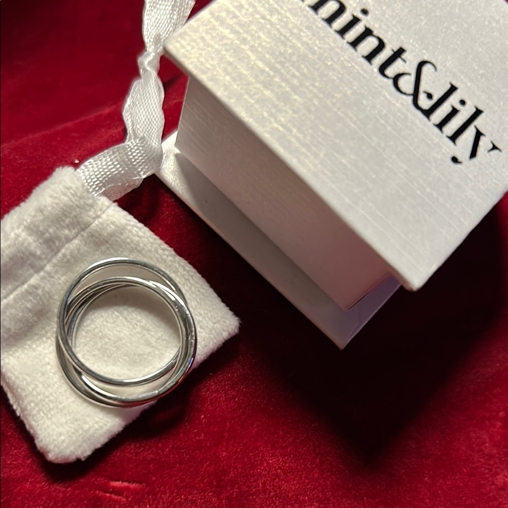 Dainty Interlocking Fidget Ring